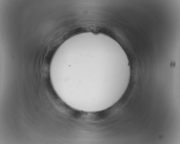 X0000112830125200909181658