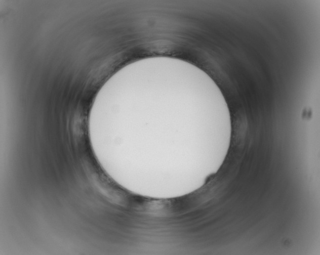 X0000112830126200909181658