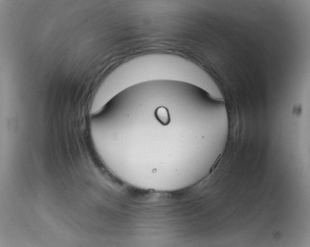 X0000112830128200909181658