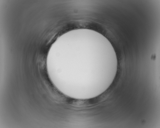 X0000112830129200909181658