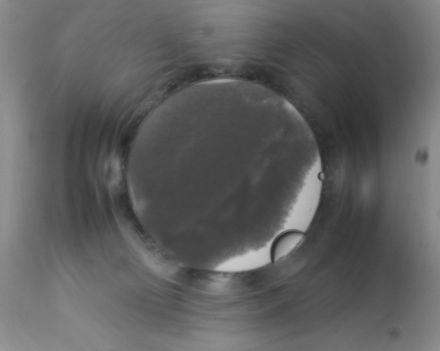 X0000112830130200909181658