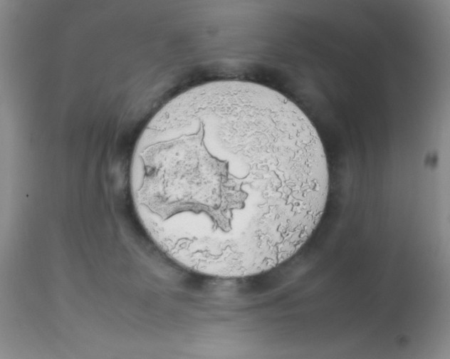 X0000112830131200909181658