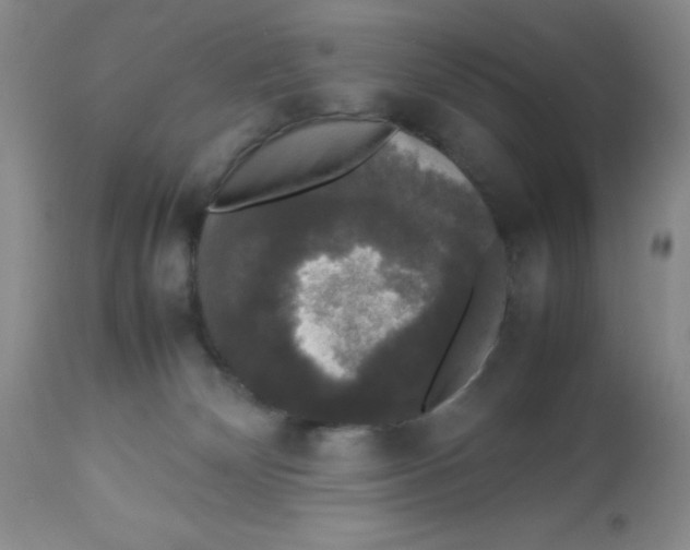 X0000112830132200909181658