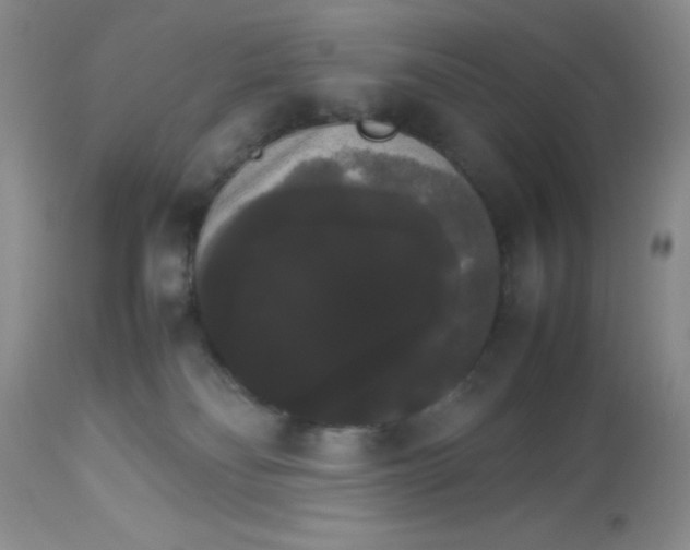 X0000112830134200909181658