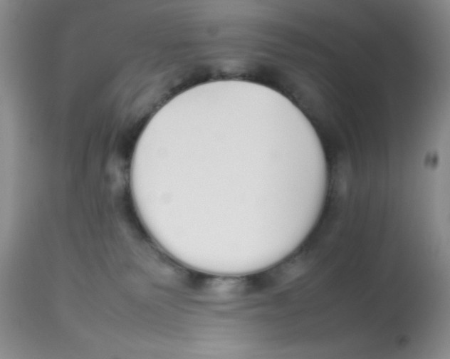 X0000112830135200909181658