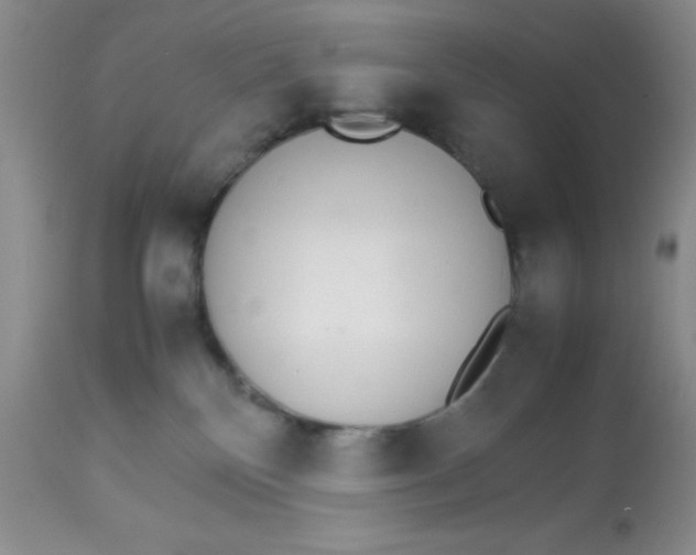 X0000112830136200909181658