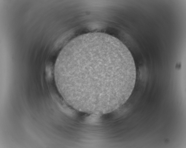 X0000112830138200909181658