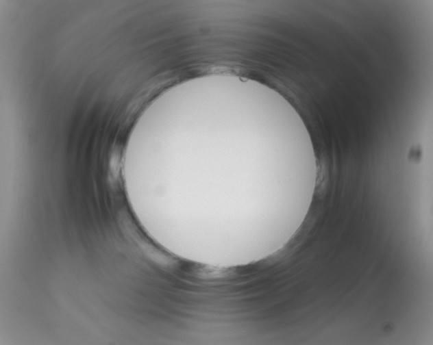 X0000112830142200909181658