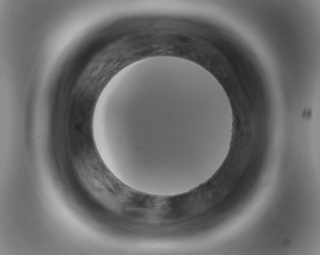 X0000112830143200909181658