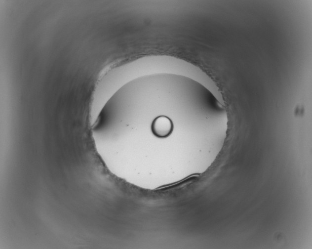 X0000112830144200909181658