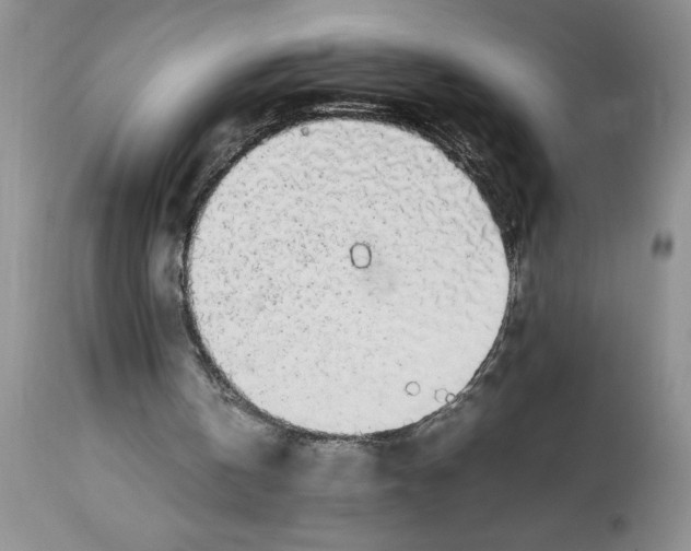 X0000112830146200909181657