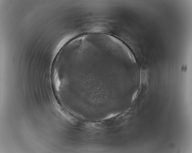 X0000112830147200909181657