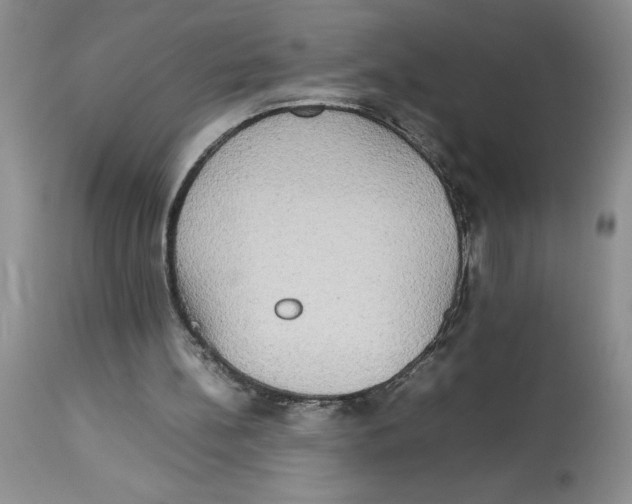 X0000112830148200909181657