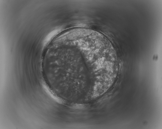 X0000112830149200909181657