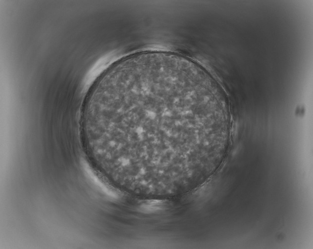 X0000112830151200909181657