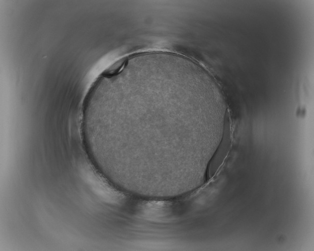 X0000112830152200909181657