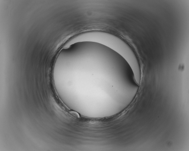 X0000112830154200909181657