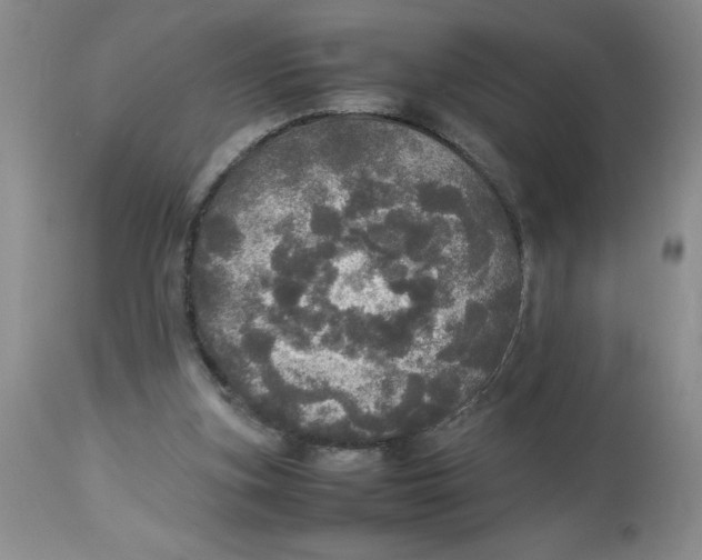 X0000112830155200909181657