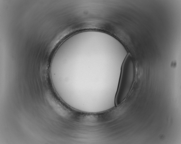 X0000112830156200909181657