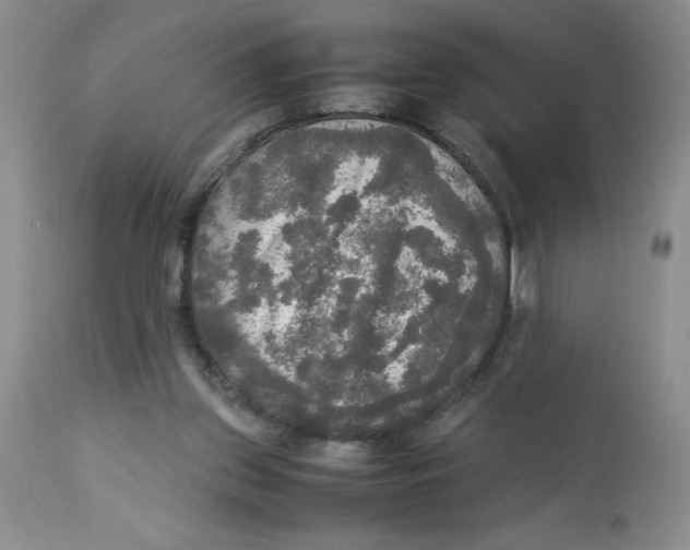 X0000112830157200909181657