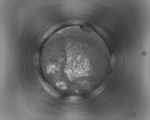 X0000112830158200909181658