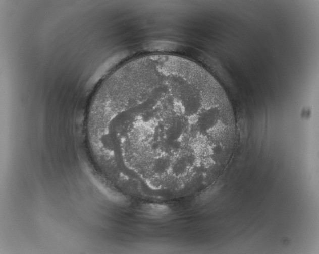 X0000112830159200909181658