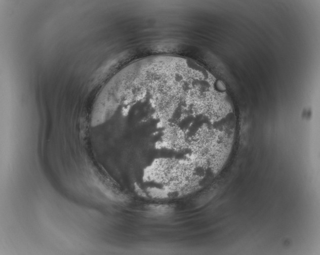 X0000112830161200909181658