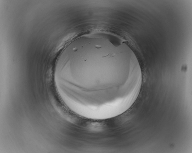 X0000112830163200909181658