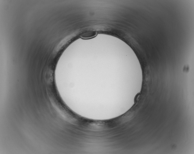 X0000112830164200909181658