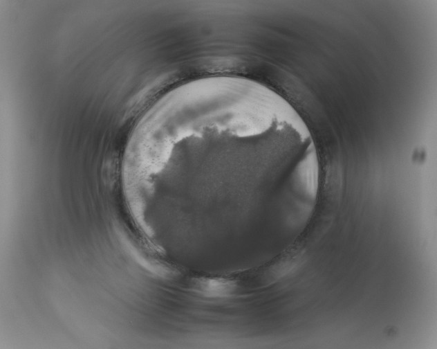 X0000112830165200909181658