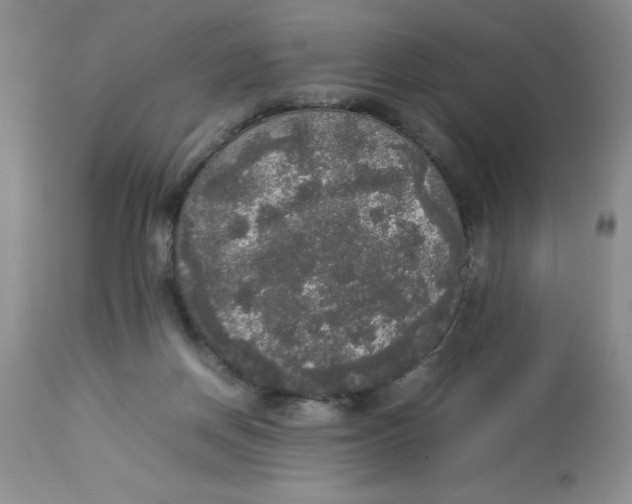 X0000112830166200909181658