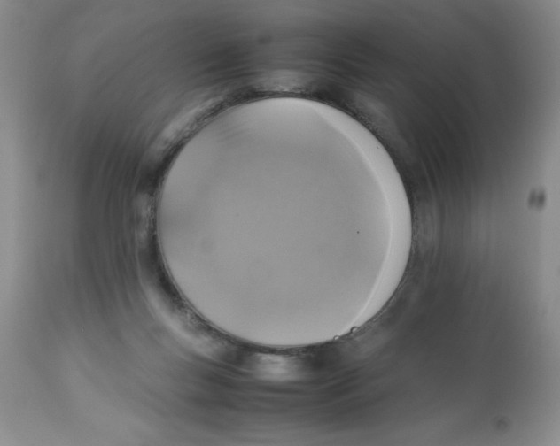 X0000112830167200909181658