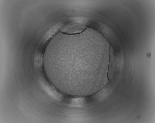 X0000112830168200909181658