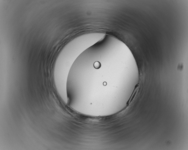 X0000112830170200909181658