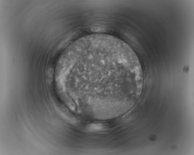 X0000112830171200909181658