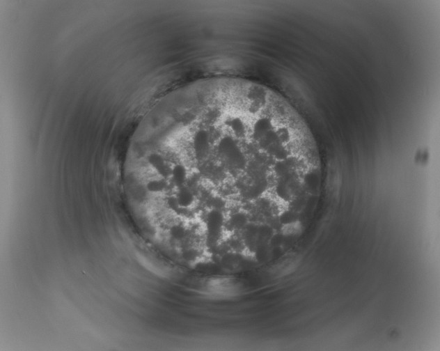 X0000112830173200909181658