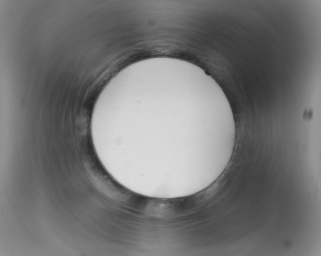 X0000112830174200909181658