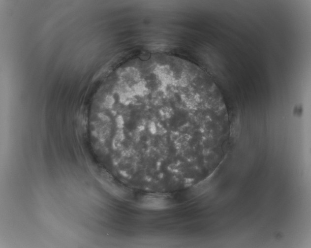 X0000112830179200909181658