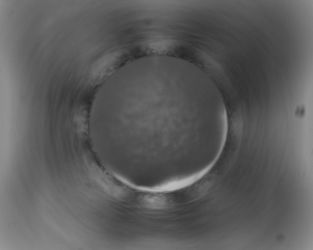 X0000112830181200909181658