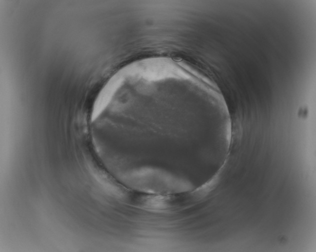 X0000112830182200909181658