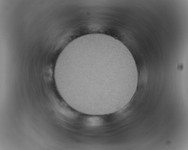 X0000112830183200909181658