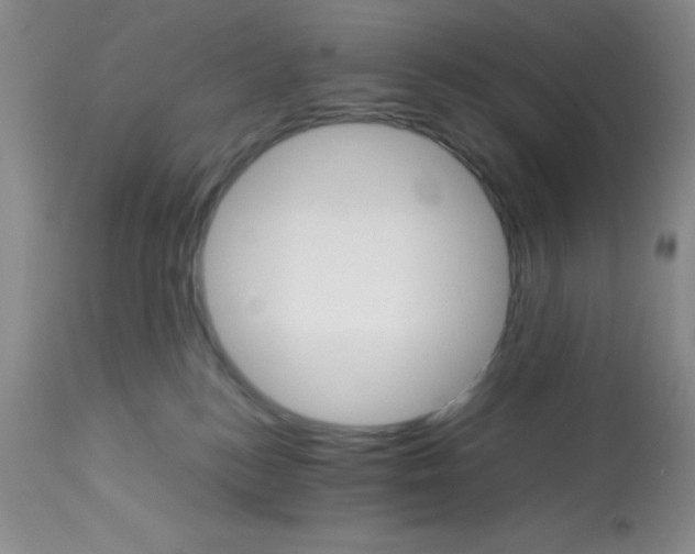 X0000112830184200909181658