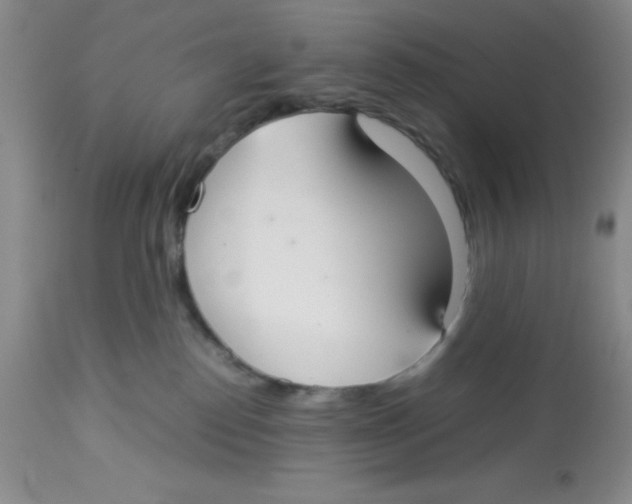 X0000112830186200909181658