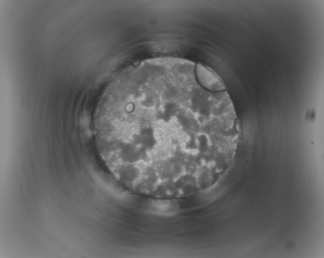 X0000112830187200909181658