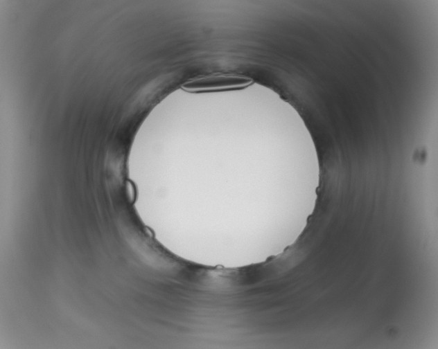 X0000112830188200909181658