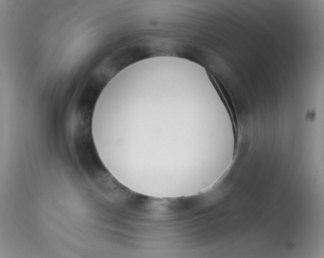 X0000112830190200909181658