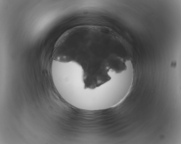 X0000112830191200909181658