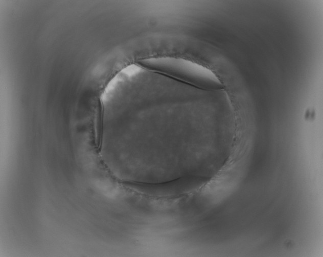 X0000112830192200909181658