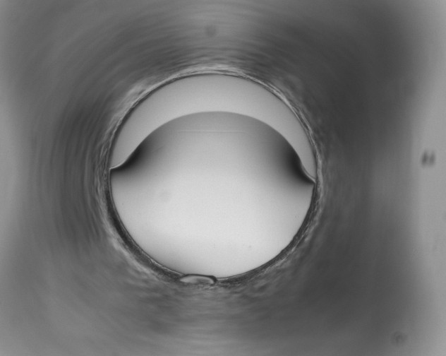 X0000112830193200909181657