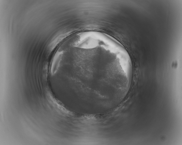 X0000112830194200909181657